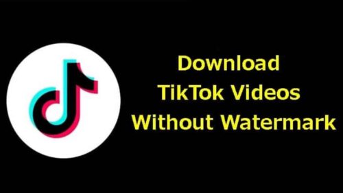 Unduh-Video-Tiktok-Tanpa Tanda Air