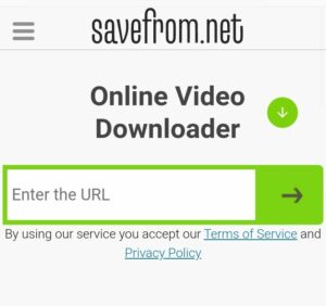 Savefrom-TikTok-Downloader-Video