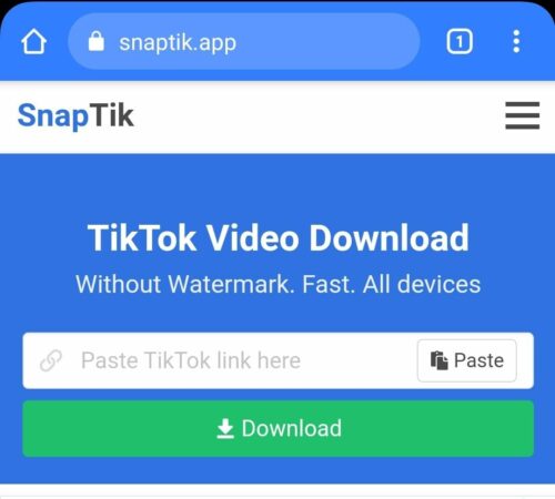 Cara-Download-Video-Tanpa-Watermark-di-Snaptik