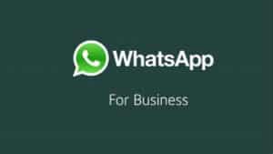WhatsApp-Business-Apk-Mod